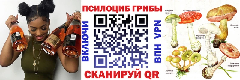 Псилоцибиновые грибы мицелий  Тюмень 