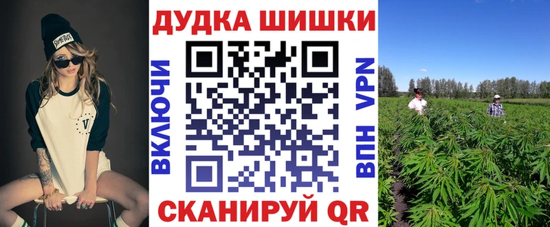 где найти наркотики Тюмень гидра зеркало Конопля ГИДРОПОН